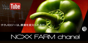 NCXX FARM chanel