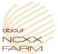 NCXX FARMとは