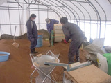 増設ハウスの定植用の専用培土の製造